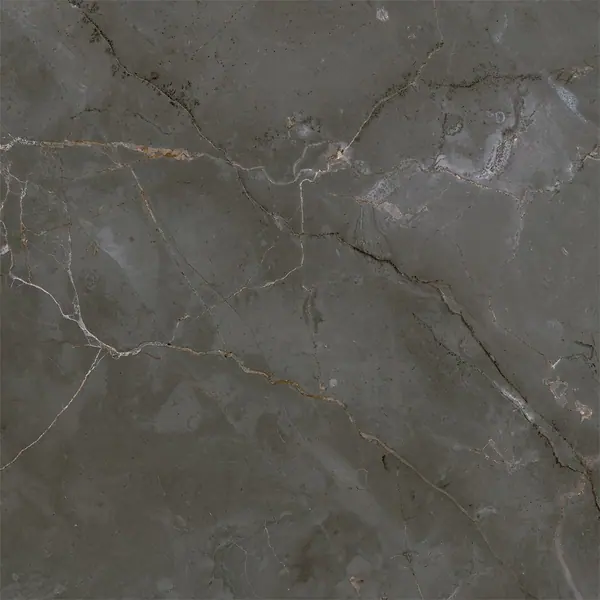 SAVOIE NATURALE 60×60 Glossy