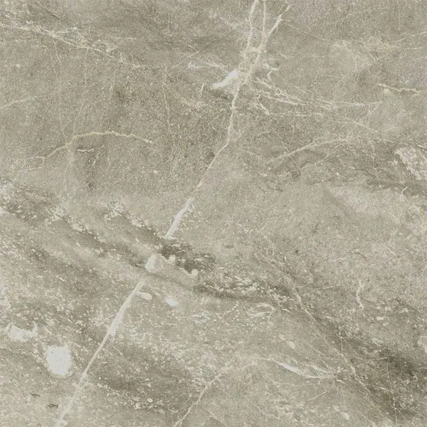 OASIS VERDE 60×60 Glossy